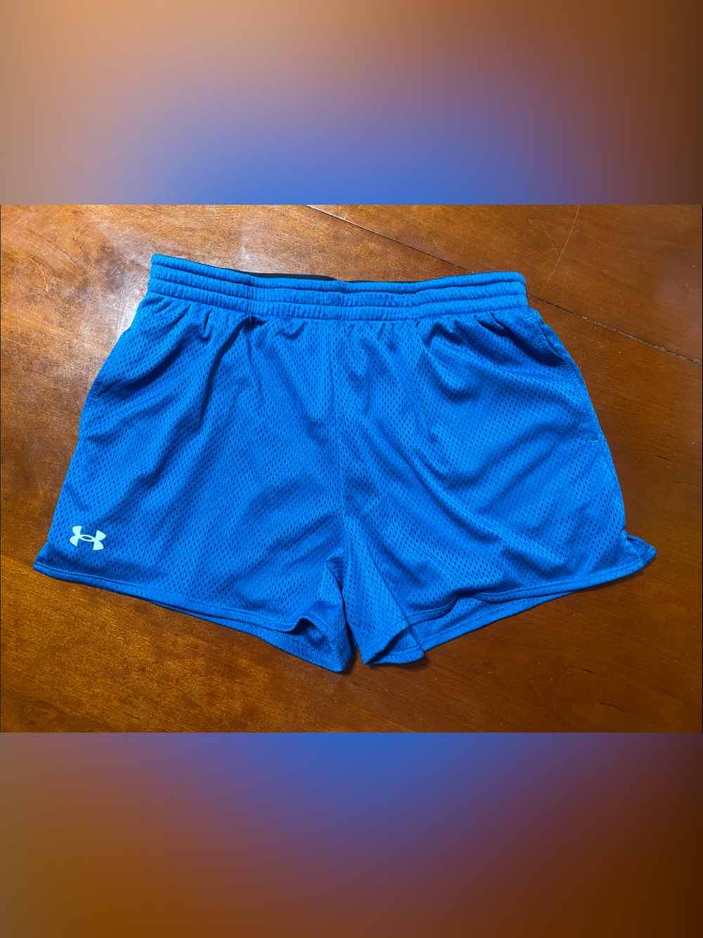 Under Armour Royal Blue Mesh Training Shorts